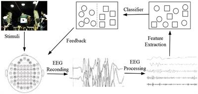 A Domain Adaptation Sparse Representation Classifier for Cross-Domain Electroencephalogram-Based Emotion Classification